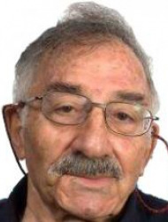 מנחם אמיר
