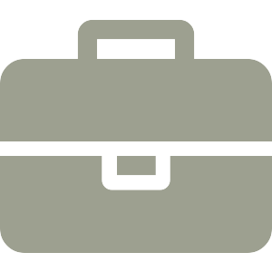 briefcase_300