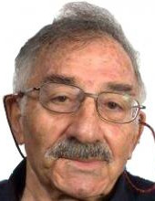 מנחם אמיר